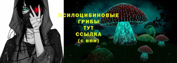 мет Арсеньев