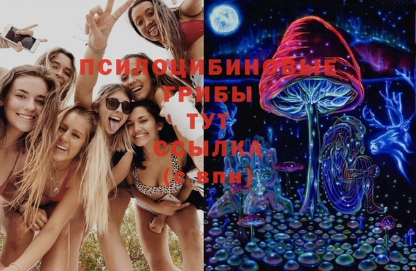 мет Арсеньев