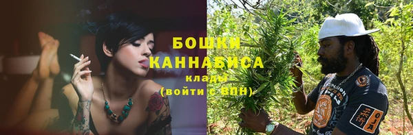 Альфа ПВП Аркадак
