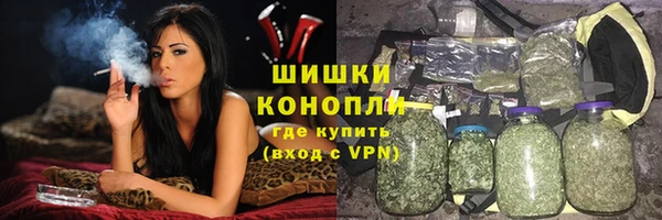 индика Дмитровск